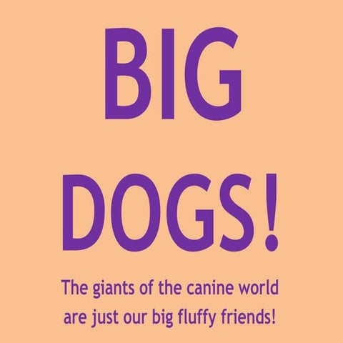 Big dogs!