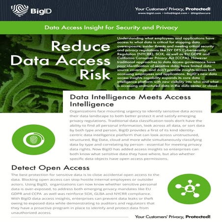 BigID DataSheet: Data Access Intelligence | PDF
