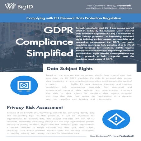 BigID Data Inventory & Data Mapping Data Sheet | PDF