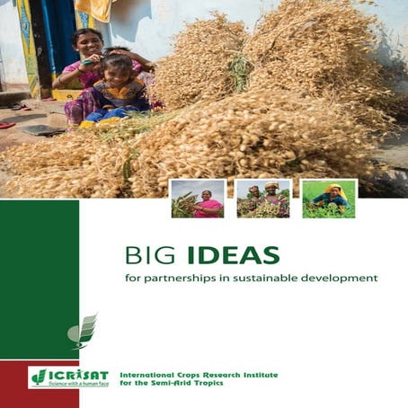 BIG IDEAS for partnerships in sustainable development