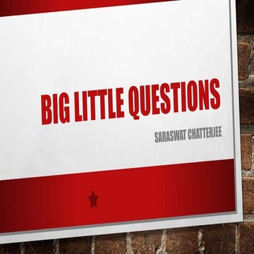 Big Little Questions