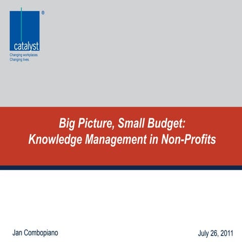 Big picture small_budget_km_in_non-profits