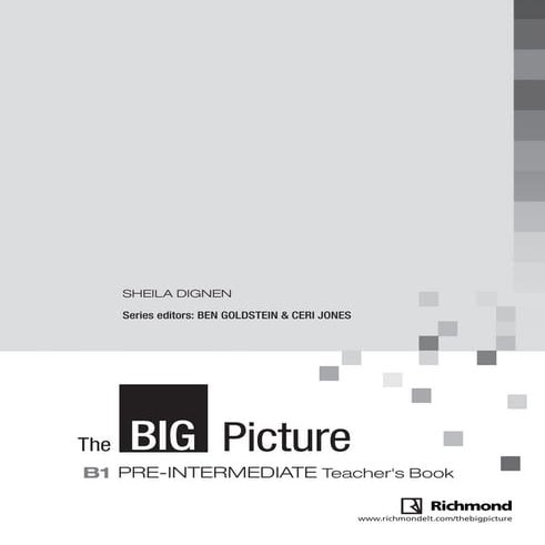 Big picture workbook b1
