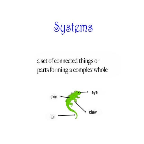 Big systems | PDF