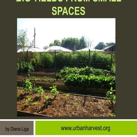 Southern SAWG- Big yields in small spaces