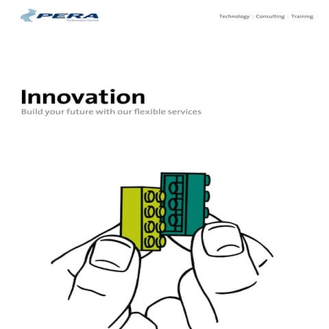 Bi Innovation Support Brochure 2011
