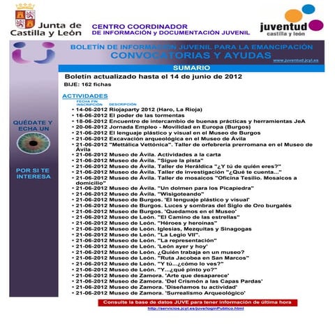 Bije conv.ayudas 14 06-2012,1