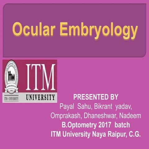 Ocular Embryology 
