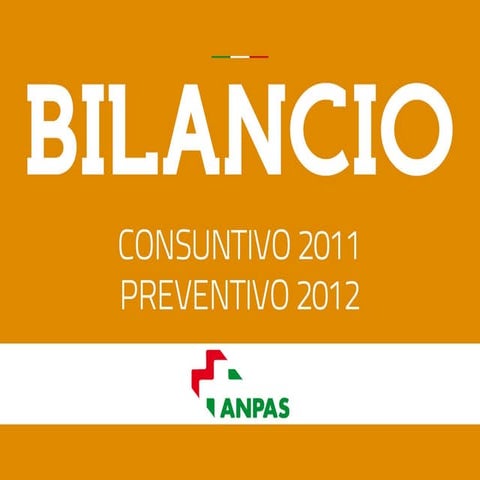 Il bilancio economico 2011
