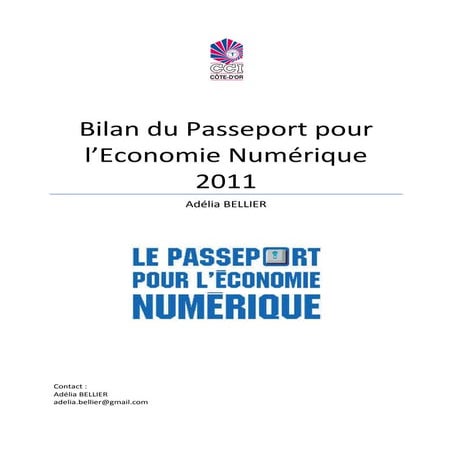 Bilan du Passeport pour l’Economie Numérique 2011
