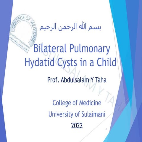 Bilateral Pulmonary Hydatid Cysts in a Child.pdf