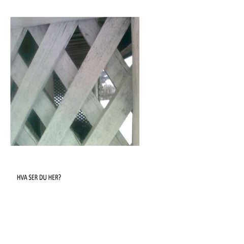 Bildebok med mønster