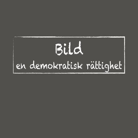 Bild en demokratisk rättighet Sundsval vt18