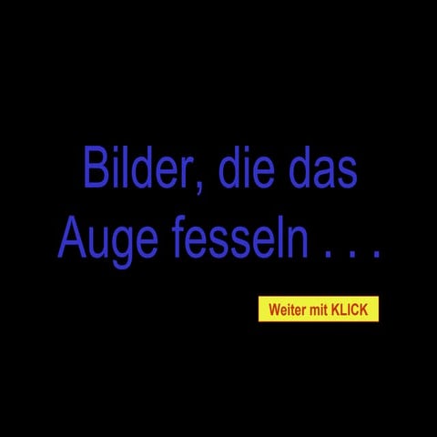 Bilder  die_das_auge_fesseln