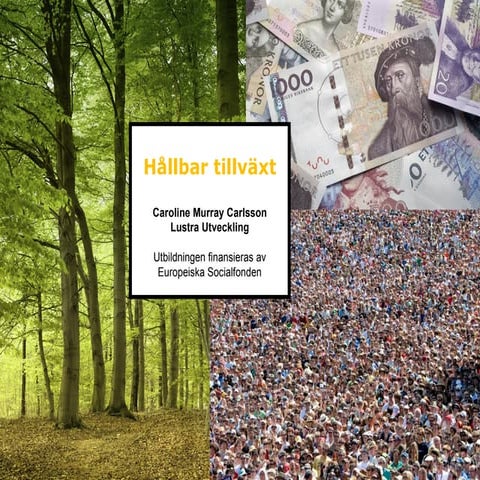 Hållbar tillväxt