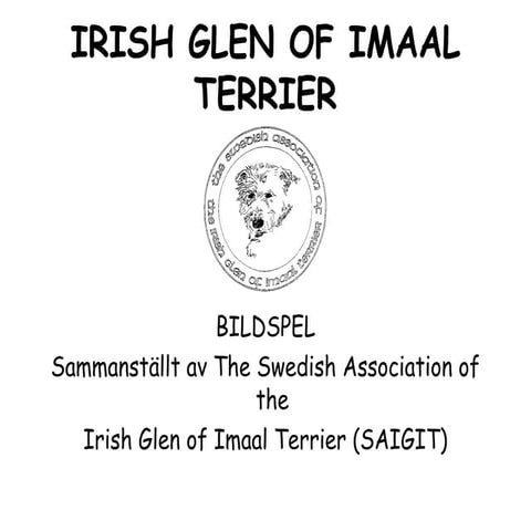 Bildspel, irish glen of imaal terrier 2005