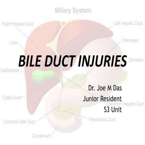 Bile duct injuries