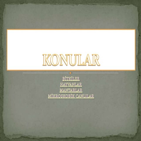 Canlılar Dünyası Slayt