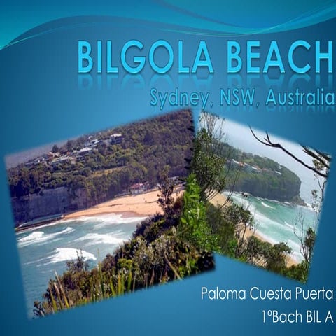 Bilgola Beach -  Paloma