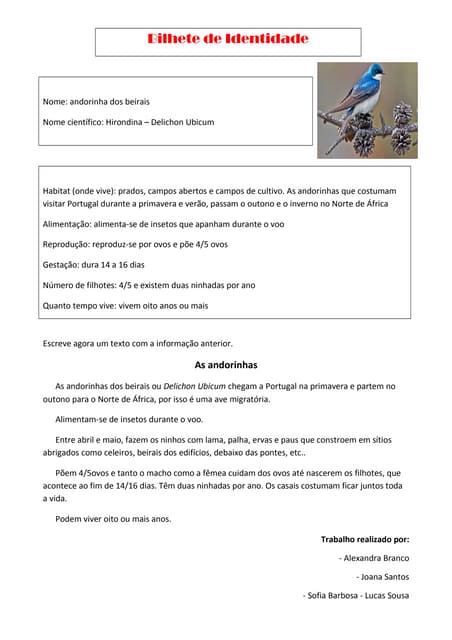 Bilhete identidade (2)