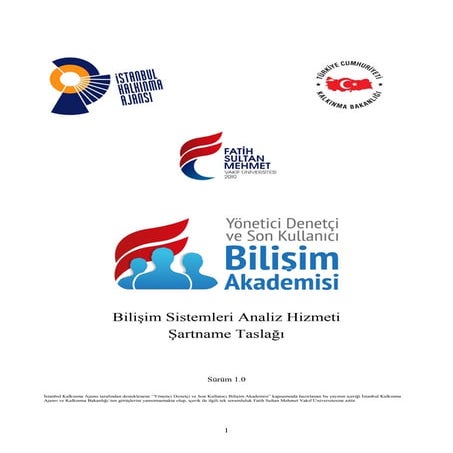 Bilişim sistemleri analiz hizmeti şartname taslağı