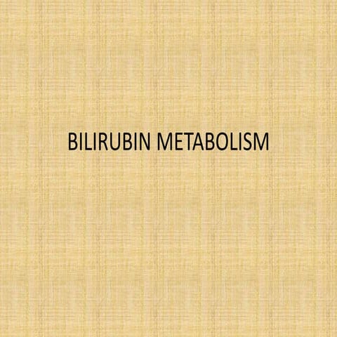 Bilirubin metabolism