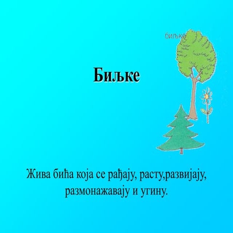 biljke.ppt