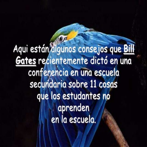Billgates lo quelaescuelanoensenya