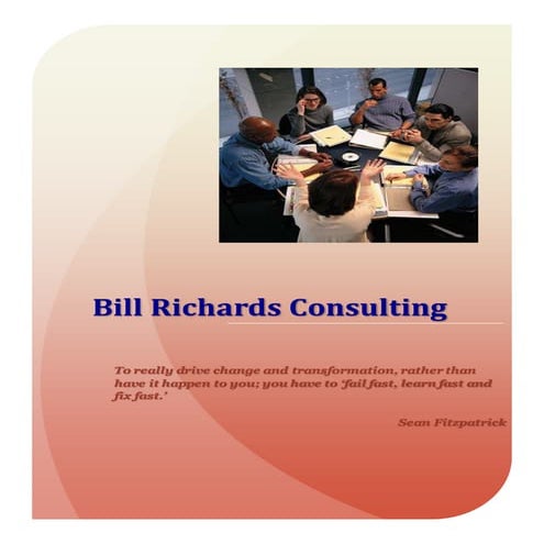 Bill Richards Consulting profile   aug 16