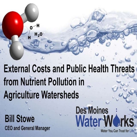 Bill Stowe - Water