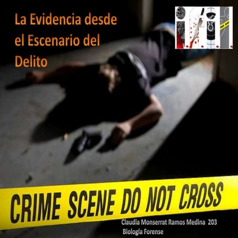 Bilogia forense
