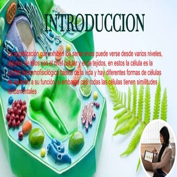 Bilogia general.pptx