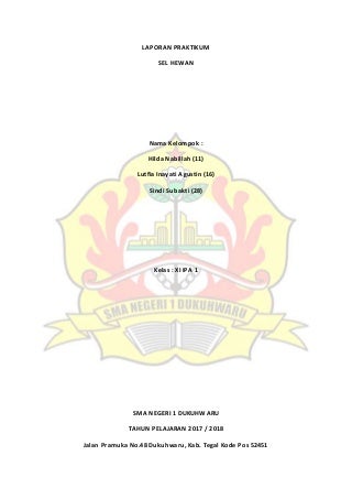 Bilogi laporan mikroskop