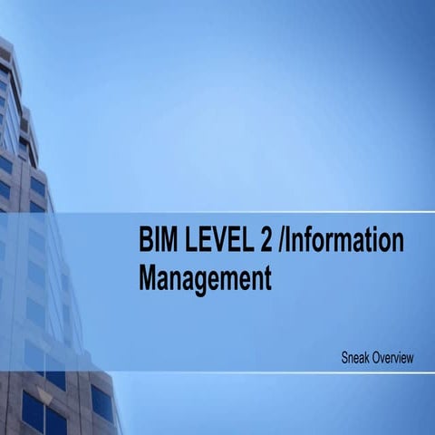 Bim level-2 information-management