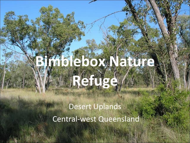 Biodiversity and threats in the Desert Uplands: The case of Bimblebox Nature Refuge