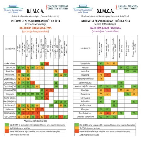 Boletín de Información Microbiológica y Consumo de Antibióticos (BIMCA)