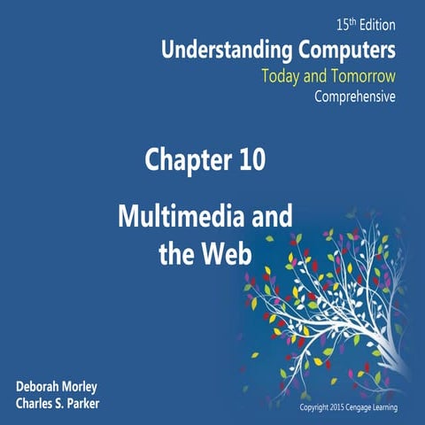 CH 12 Multimedia Notes | PPTX