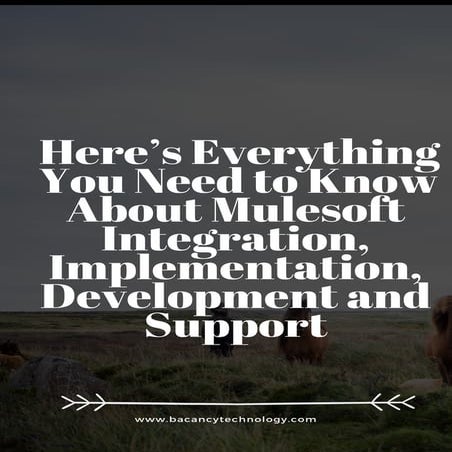 Here’s Everything You Need to Know About Mulesoft Integration, Implementation...