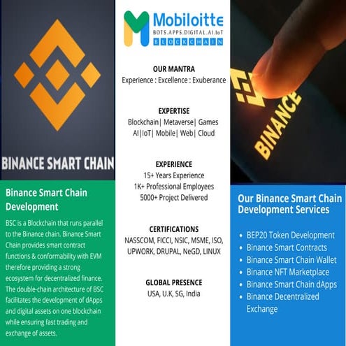 Binance Smart Chain Development Guide.pptx