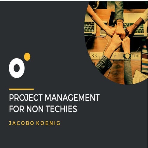 Managing Developers for Non-Techies