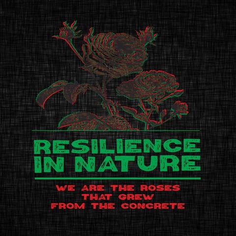 Exhibition Catalogue