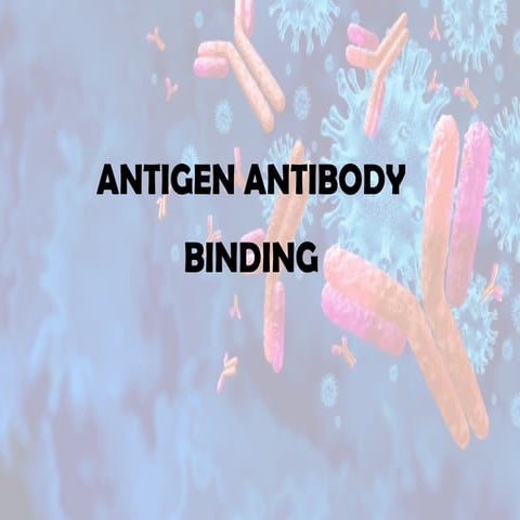 Binding of antigen and antibody. Presentation