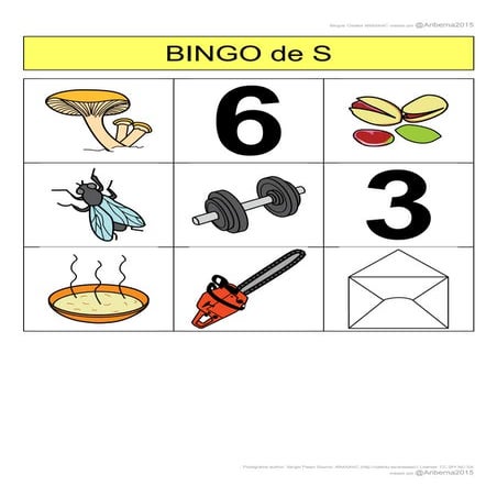Bingo s