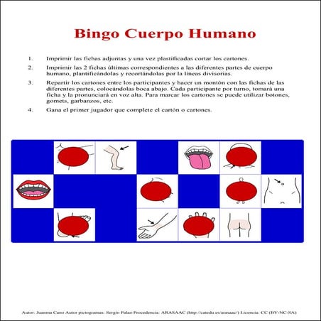 Bingo partes del cuerpo