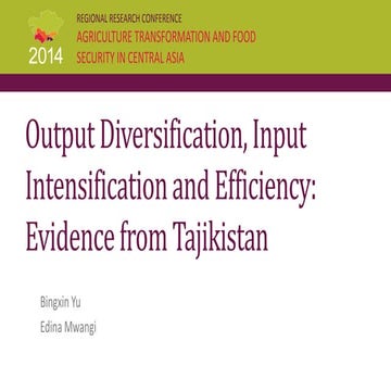 Output Diversification, Input Intensification and Efficiency: Evidence from T...