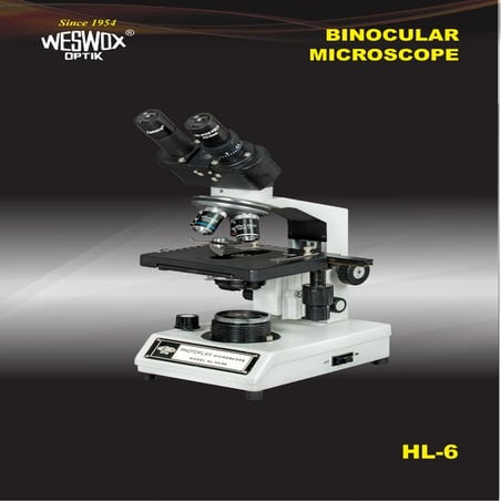 Binocular microscope hl 6