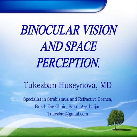 Binocular vision and vision perception