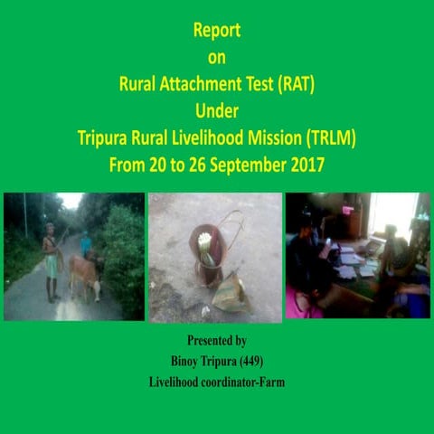 TRLM Report 