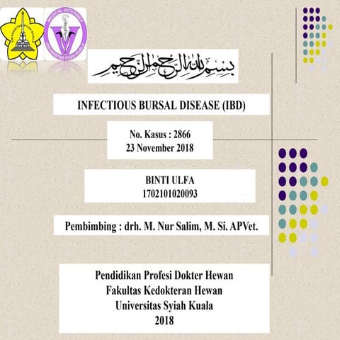 infectious bursal disease | PPT