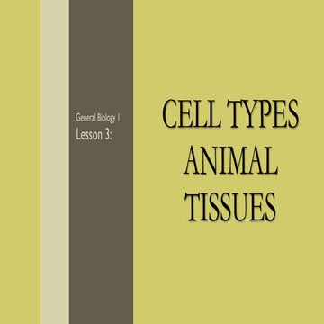 GRADE 11 GENERAL BIOLOGY LESSON 3: CELL TYPES ANIMAL TISSUES